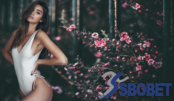 Agen Bandar Sbobet Resmi dan Terpercaya