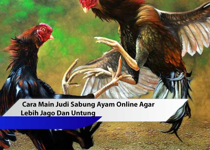 sabung ayam online